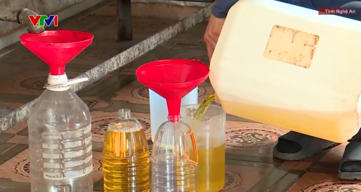Lo dầu ăn giả, nhiều người mua lạc về ép lấy dầu- Ảnh 1.