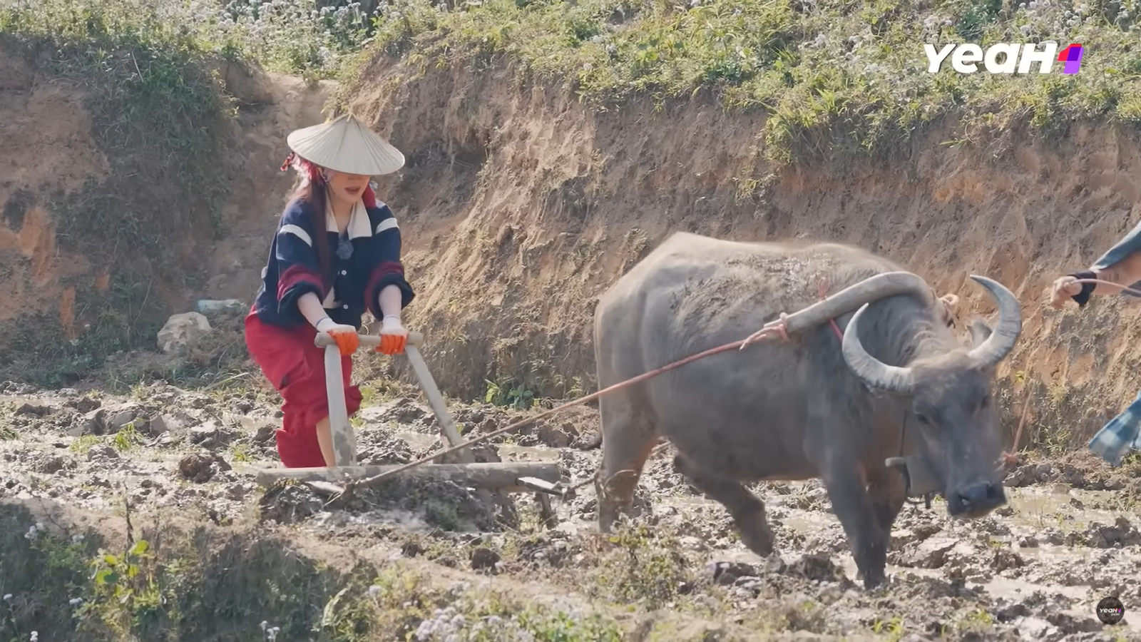 Tiểu thư 7000 tỷ gây sốt ở Gia Đình Haha: Tay quen bóc đồ hiệu giờ "nếm" cảm giác đào sắn, bẻ măng, cày ruộng hùng hục- Ảnh 4.