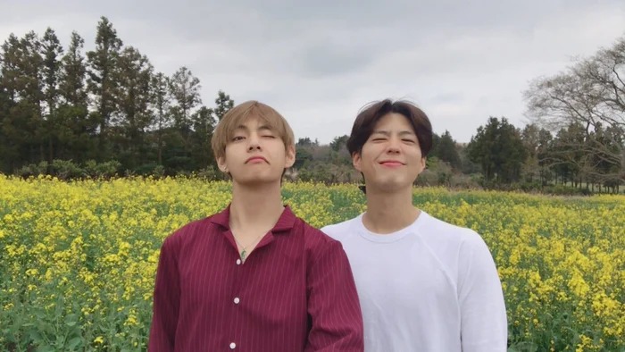 Bắt gọn V (BTS) và Park Bo Gum 