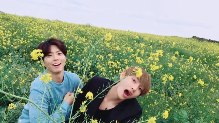 Bắt gọn V (BTS) và Park Bo Gum 
