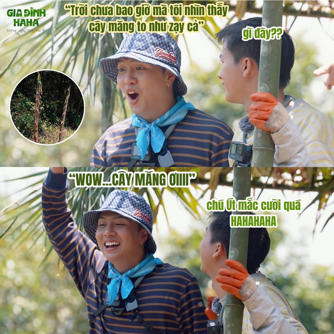 Lộ diện 