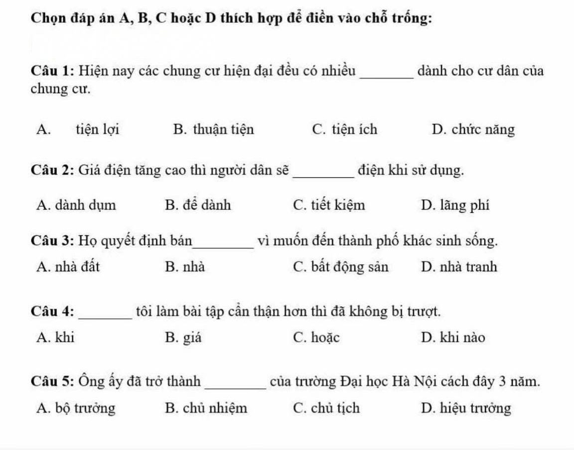 Làm đề thi tiếng Việt cho người nước ngoài, dân bản xứ tự hoài nghi khả năng dùng tiếng mẹ đẻ của mình- Ảnh 1.
