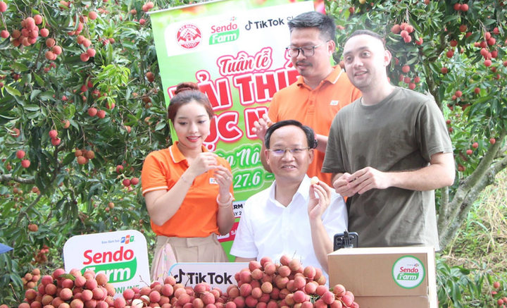 Lãnh đạo tỉnh, DN livestream bán hàng: Sân chơi không còn dành riêng cho KOLs- Ảnh 1.