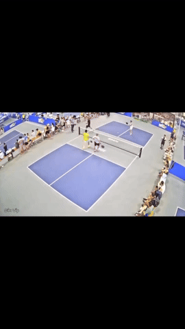 Xôn xao vụ VĐV pickleball cầm vợt tấn công trọng tài tới tấp tại Hải Phòng- Ảnh 2.