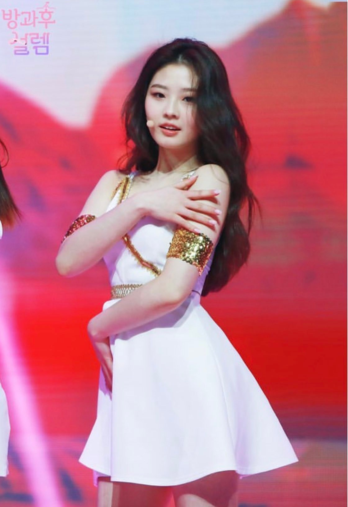 Bất ngờ với danh tính fan girl cháy nhất concert BLACKPINK khiến 4 triệu người vào cuộc tìm kiếm- Ảnh 3.