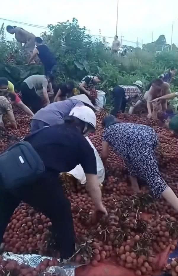 Vụ lật xe mất 4 tấn vải: Chủ hàng nhận được gần 10 triệu đồng từ nhiều số tài khoản lạ- Ảnh 2.
