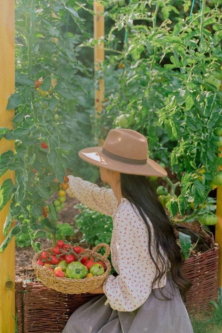 5 cách tiết kiệm tiền của mẹ, con cái cho là lỗi thời nhưng cả đời không khá lên nổi vì 