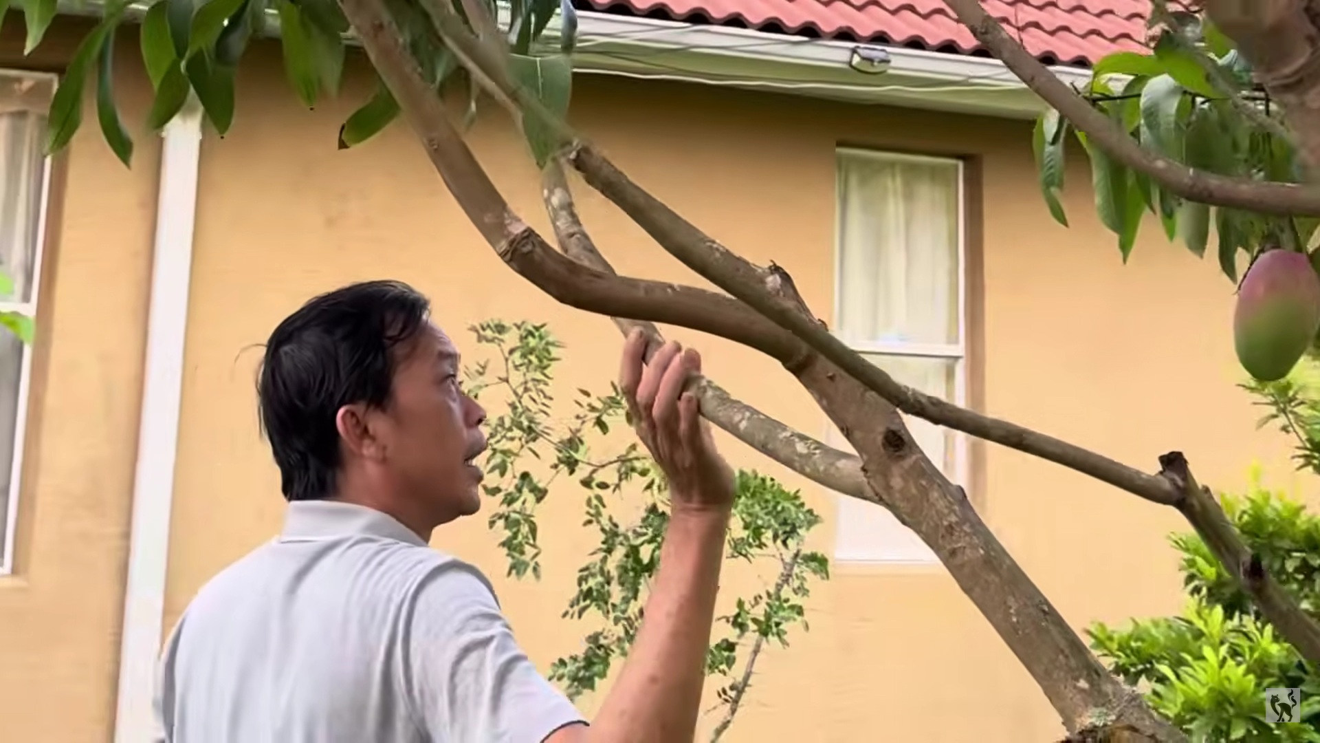 Hoài Linh thăm vườn biệt thự vài trăm m2 tại Mỹ, em trai nói: "Khác gì ở Việt Nam đâu"- Ảnh 2.