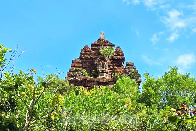 Du khách đổ về tháp Nhạn chiêm ngưỡng kiệt tác của người Champa cổ- Ảnh 8.