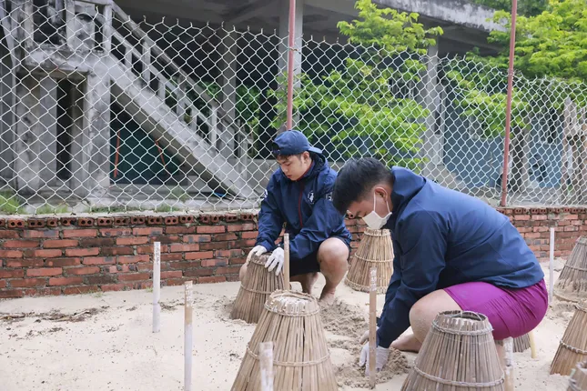 Nam thanh niên 'đỡ đẻ' cho rùa- Ảnh 5.