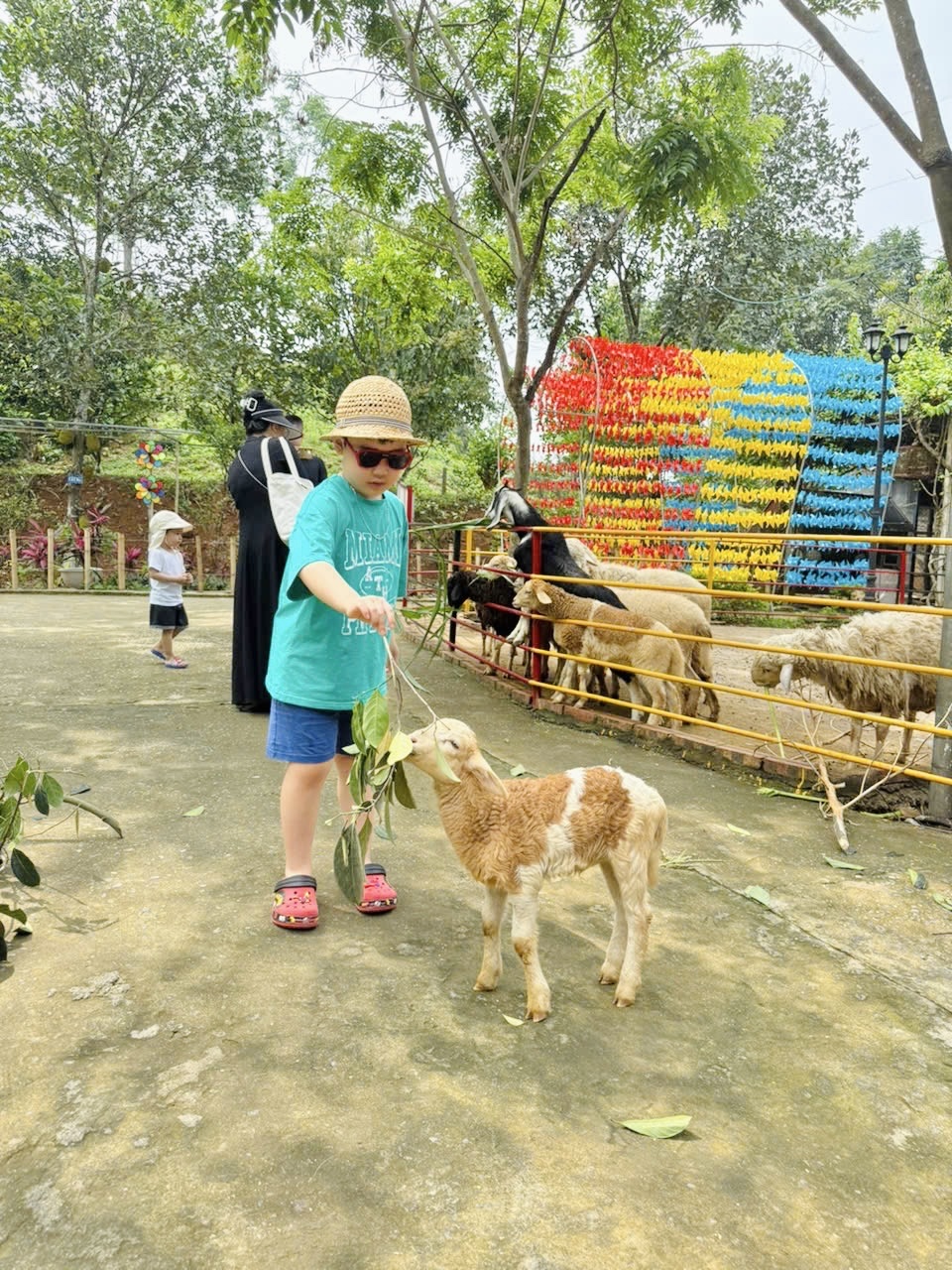 Cậu bé Hà Nội đạt hàng loạt Huy chương, Học bổng dù CHƯA VÀO LỚP 1: Bố tiết lộ lịch học bất ngờ, nói thẳng về tranh cãi trên MXH- Ảnh 6.