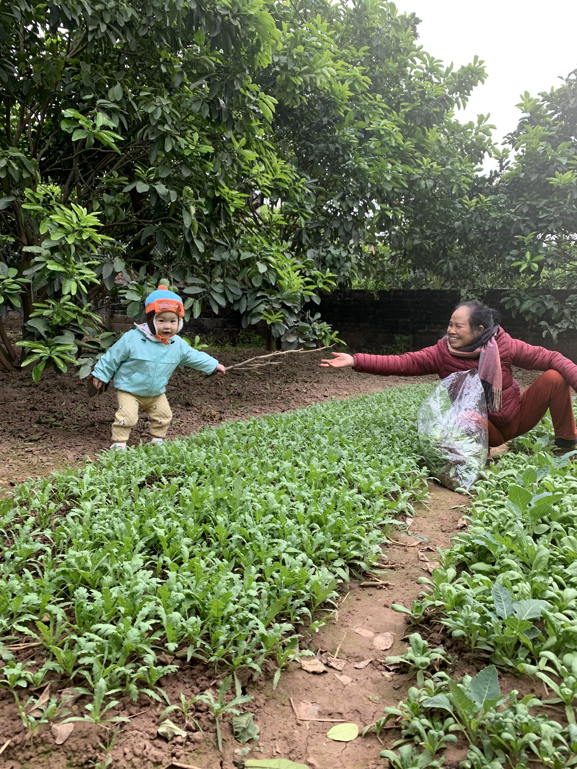 Cậu bé Hà Nội đạt hàng loạt Huy chương, Học bổng dù CHƯA VÀO LỚP 1: Bố tiết lộ lịch học bất ngờ, nói thẳng về tranh cãi trên MXH- Ảnh 9.