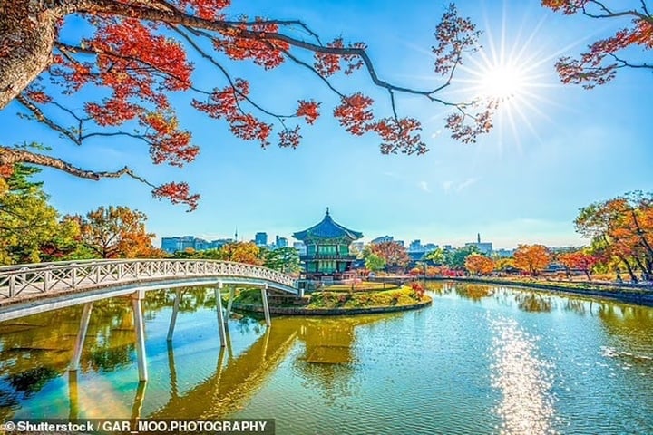 Bạn có thể bị phạt hàng tỷ đồng nếu chụp ảnh selfie tại các điểm du lịch này- Ảnh 6.