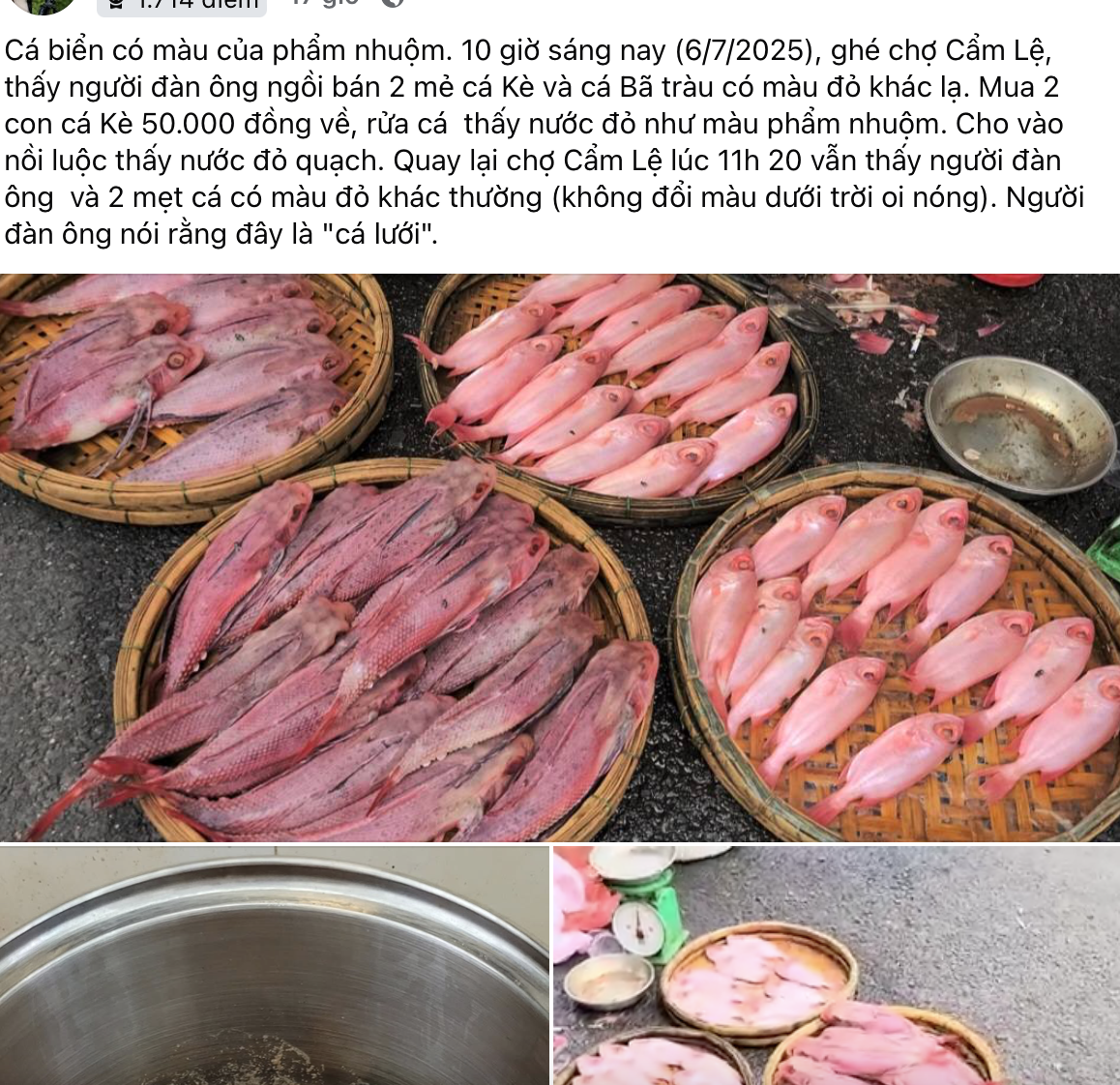 Cá "nhuộm phẩm" ở Đà Nẵng là do được rửa bằng nước ngọt có màu?- Ảnh 1.