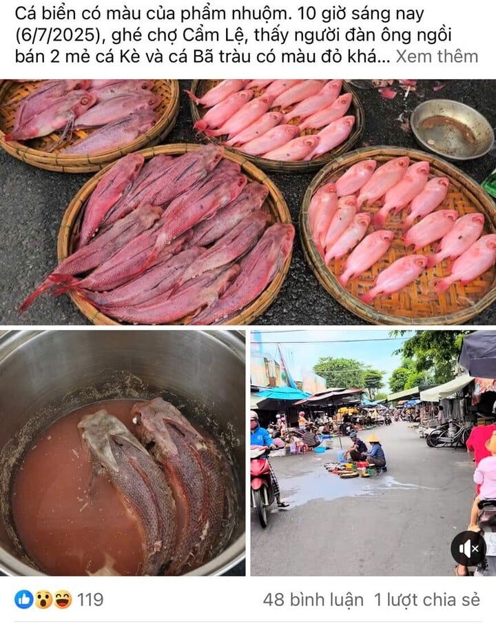 Người dân Đà Nẵng nghi ngờ cá bị nhuộm phẩm, tiểu thương nói rửa bằng nước ngọt- Ảnh 1. Người dân Đà Nẵng nghi ngờ cá bị nhuộm phẩm, tiểu thương nói rửa bằng nước ngọt- Ảnh 1.