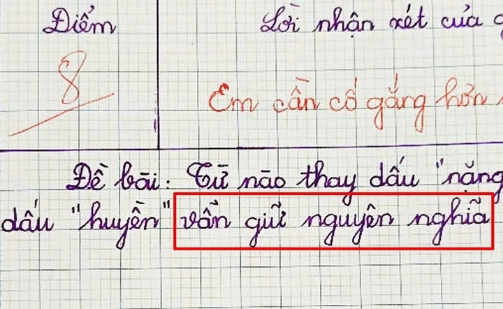 Từ nào trong Tiếng Việt thay dấu nặng bằng dấu huyền vẫn giữ nguyên nghĩa?- Ảnh 1. Từ nào trong Tiếng Việt thay dấu nặng bằng dấu huyền vẫn giữ nguyên nghĩa?- Ảnh 1.