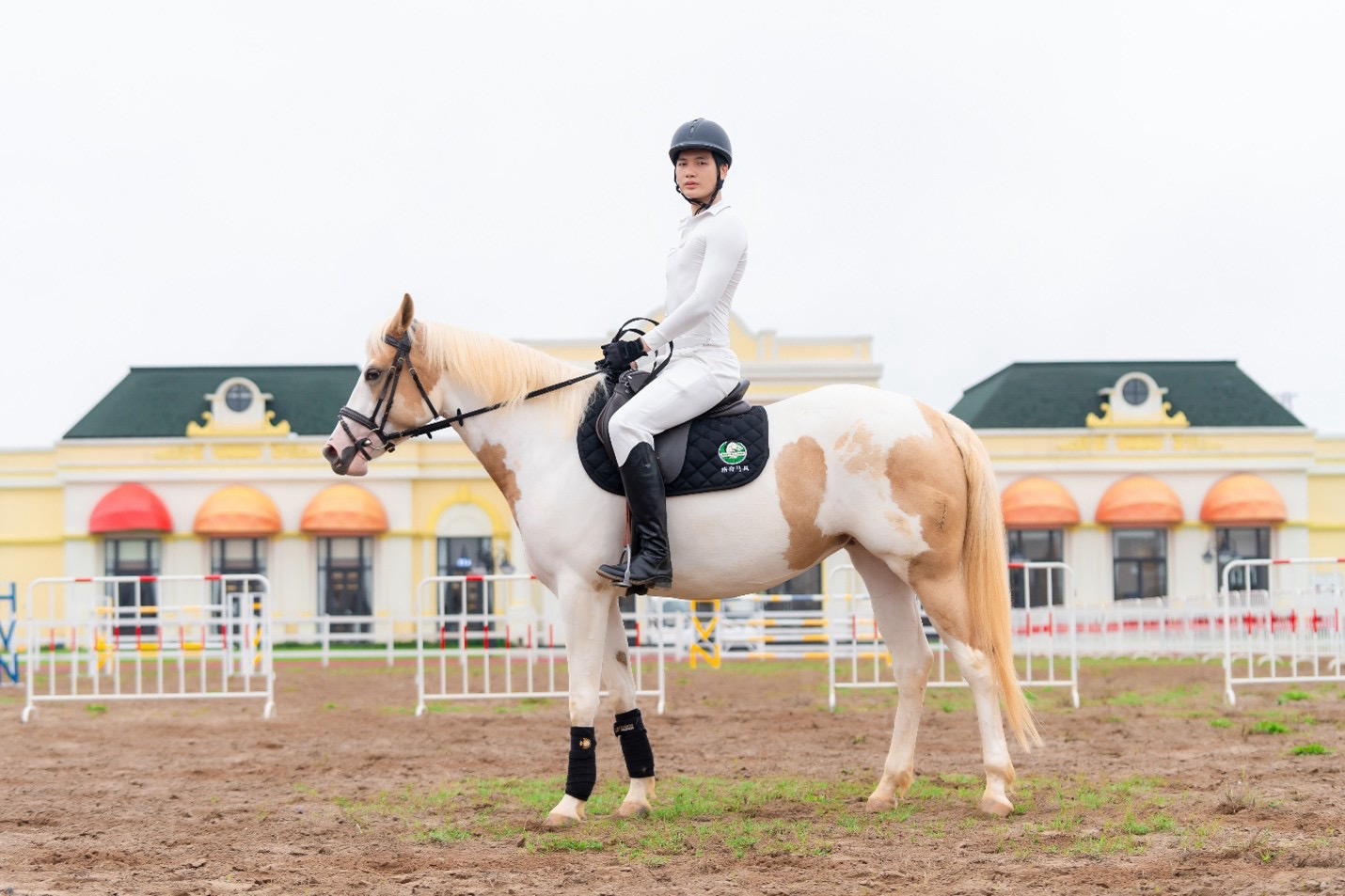 Sắp diễn ra giải cưỡi ngựa chuyên nghiệp tiên phong tại Việt Nam – Vinpearl Equestrian Cup 2025- Ảnh 3.