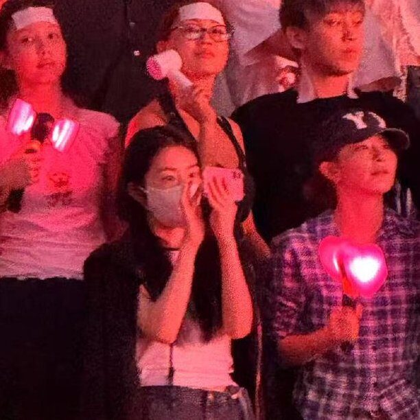"Bắt gọn" Irene (Red Velvet) ngang nhiên phạm quy trong concert BLACKPINK- Ảnh 2.
