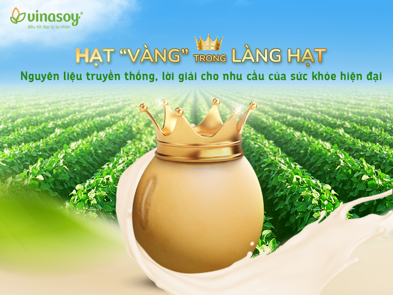 Hạt “vàng” trong làng hạt: Lời giải cho nhu cầu sức khoẻ hiện đại của mọi nhà- Ảnh 1.