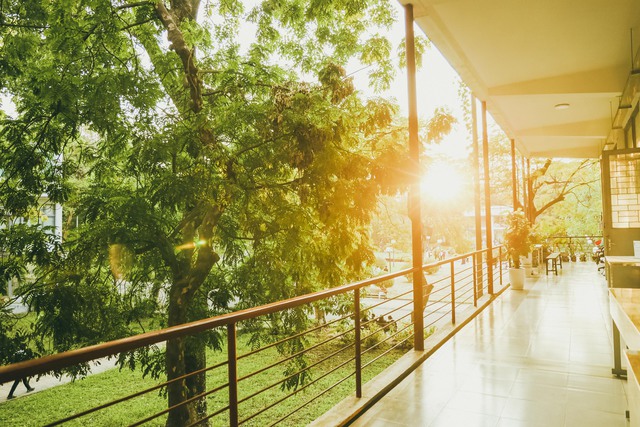 Nếu Mỹ có MIT thì Việt Nam có trường cực đỉnh này: Sở hữu 1001 cái nhất, chất lượng hàng top, đầu vào khó, đầu ra còn... khó hơn- Ảnh 12. Nếu Mỹ có MIT thì Việt Nam có trường cực đỉnh này: Sở hữu 1001 cái nhất, chất lượng hàng top, đầu vào khó, đầu ra còn... khó hơn- Ảnh 12.