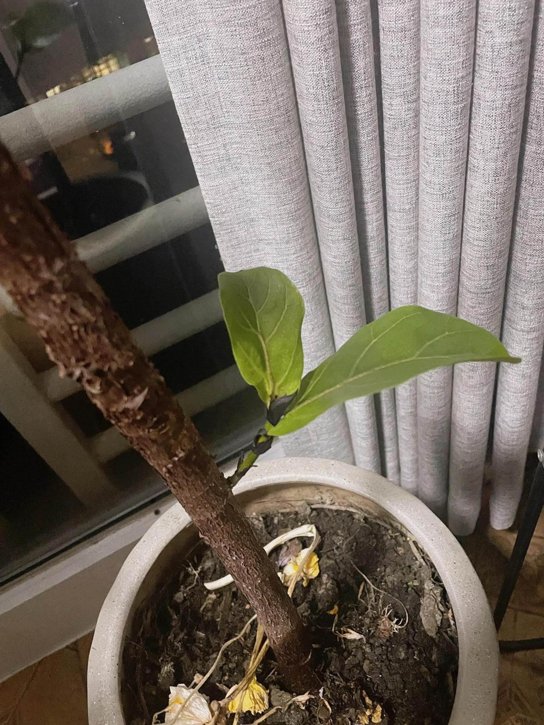 8 dấu hiệu chứng tỏ nhà bạn đang có nhiều phúc, càng ở càng có lộc, đừng dại bán đi- Ảnh 4.