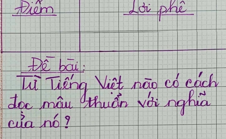 Từ Tiếng Việt nào đọc nghe "khờ" nhưng nghĩa thông minh?- Ảnh 1.