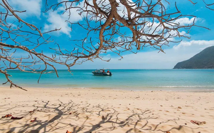 Bãi biển Đầm Trấu