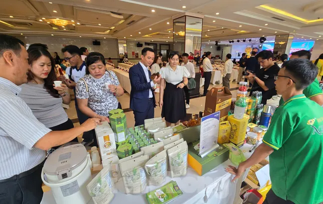 Bùng nổ du lịch miền Tây: Khách tăng 139% nhưng doanh thu... tụt hạng- Ảnh 1.