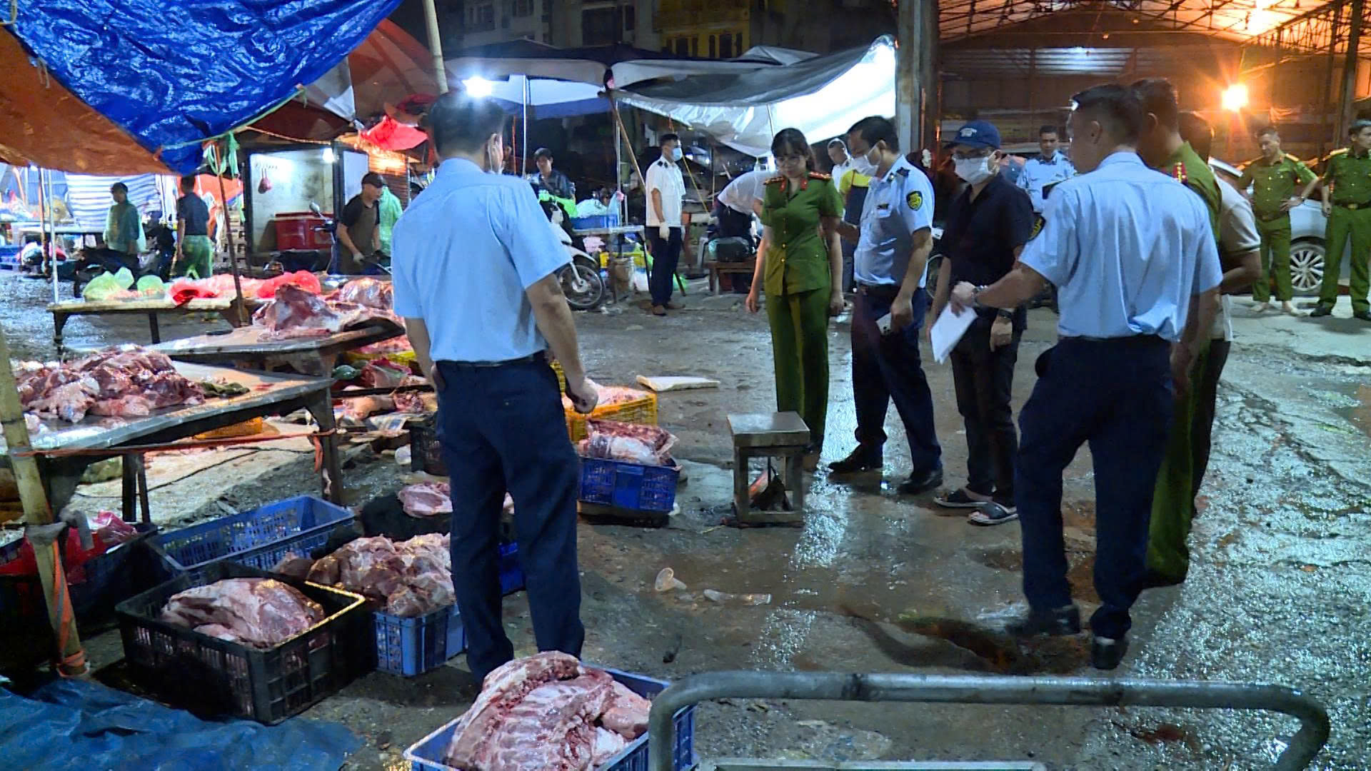 Chi tiết "đường đi" của 50 con heo bệnh được tuồn vào các nhà hàng, chợ ở Hà Nội mỗi ngày- Ảnh 1.