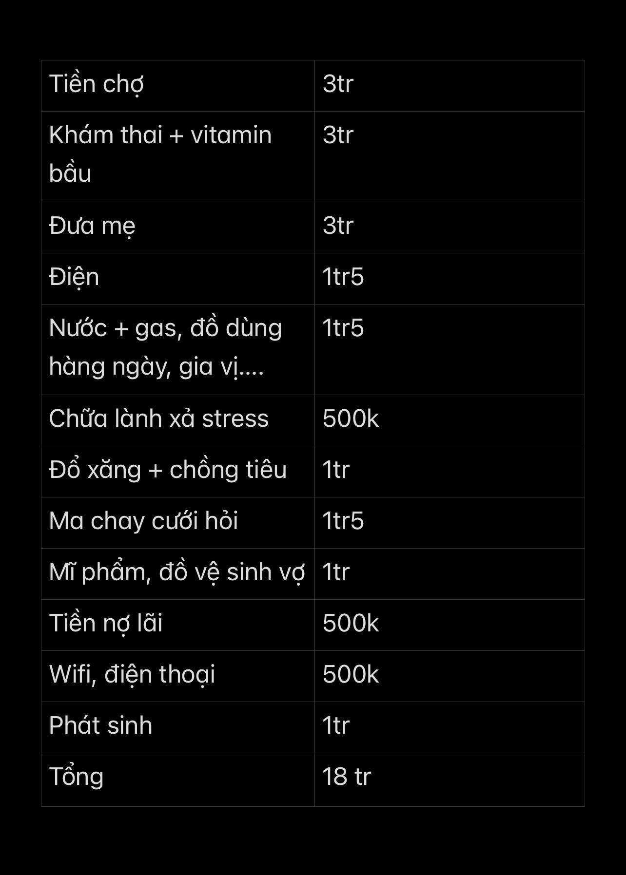 Bảng chi tiêu không ai chê nổi- Ảnh 1.
