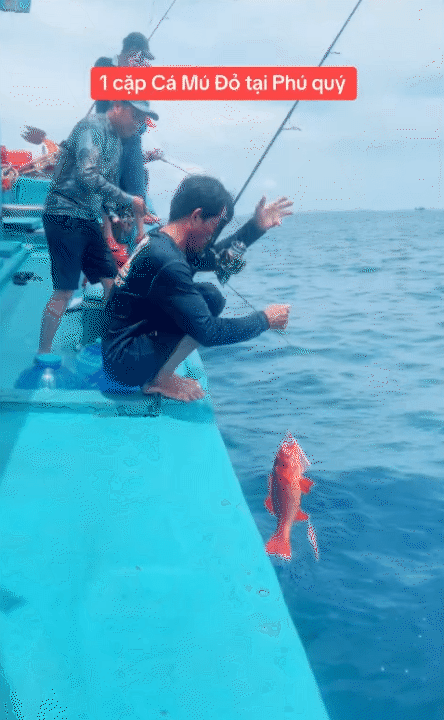 Vùng biển này toàn món ngon 'vương giả', nghe tên là đủ hiểu 'nhiều tiền chưa chắc đã được ăn'- Ảnh 12.