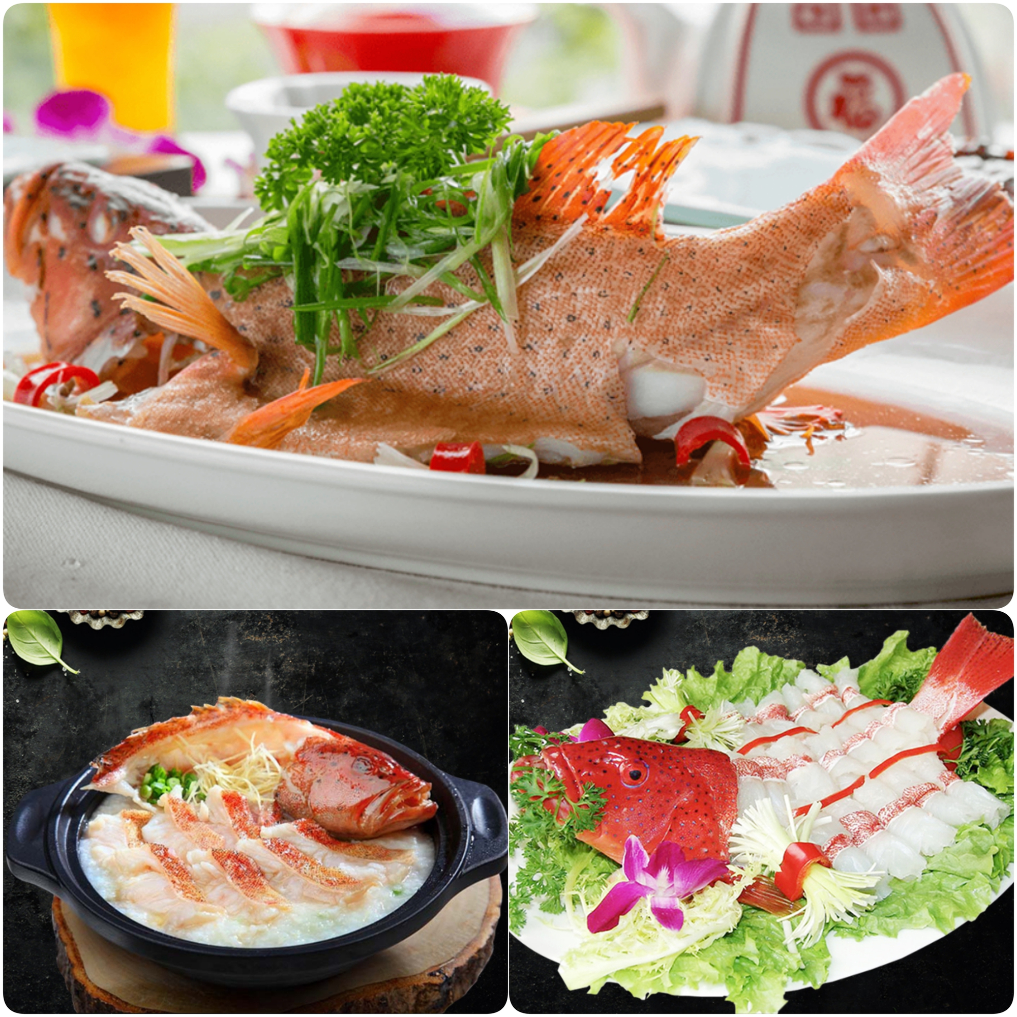 Vùng biển này toàn món ngon 'vương giả', nghe tên là đủ hiểu 'nhiều tiền chưa chắc đã được ăn'- Ảnh 13.