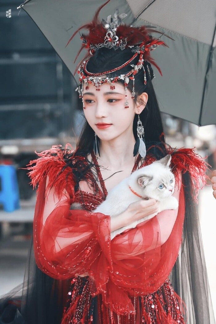 Giai nhân số 1 giới idol: Đẹp đến mức 10.000 người chờ đợi trong đêm, cát-xê 60 tỷ đồng mà đơ không chịu nổi- Ảnh 14.