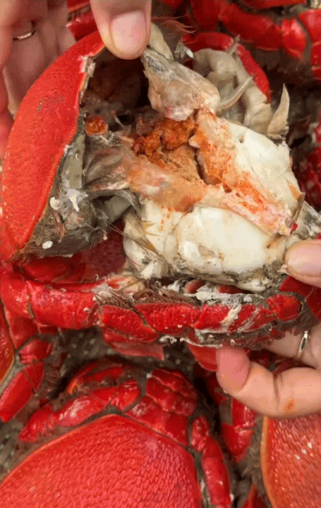 Vùng biển này toàn món ngon 'vương giả', nghe tên là đủ hiểu 'nhiều tiền chưa chắc đã được ăn'- Ảnh 8.