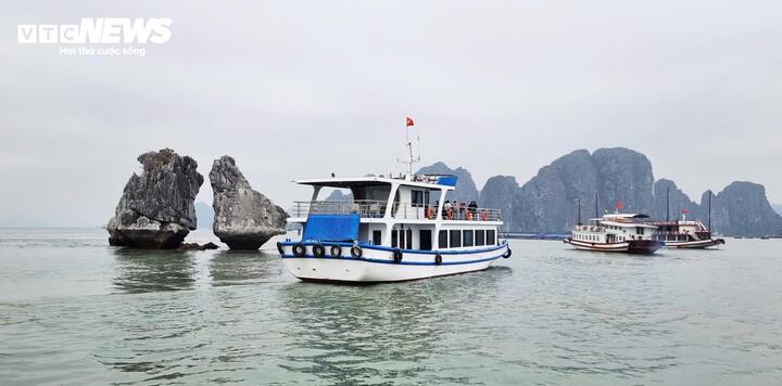 Quảng Ninh thực hiện loạt giải pháp để không tái diễn thảm họa lật tàu Vịnh Xanh- Ảnh 2. Quảng Ninh thực hiện loạt giải pháp để không tái diễn thảm họa lật tàu Vịnh Xanh- Ảnh 2.