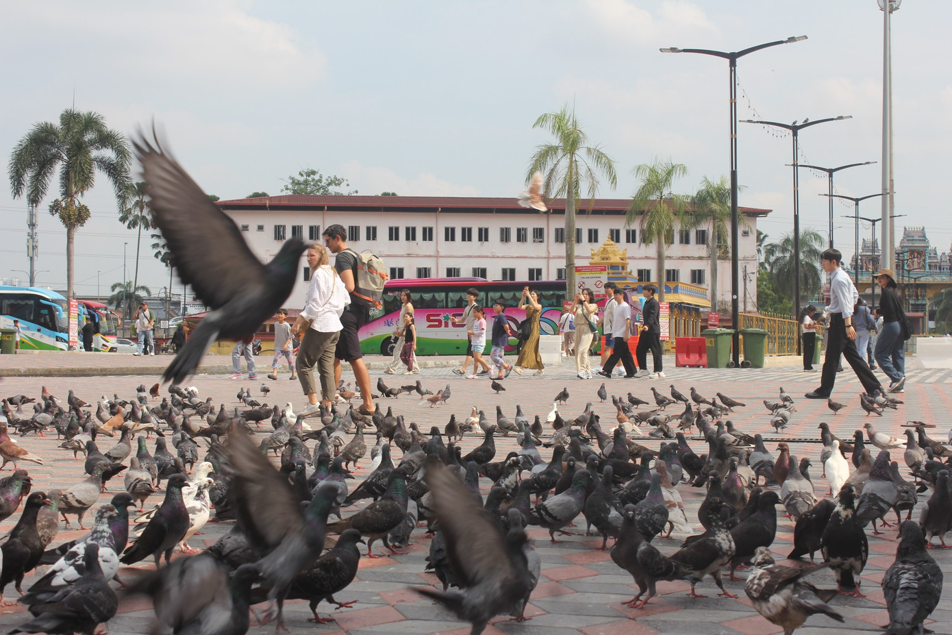 Lý do Malaysia hút du khách Việt- Ảnh 14.
