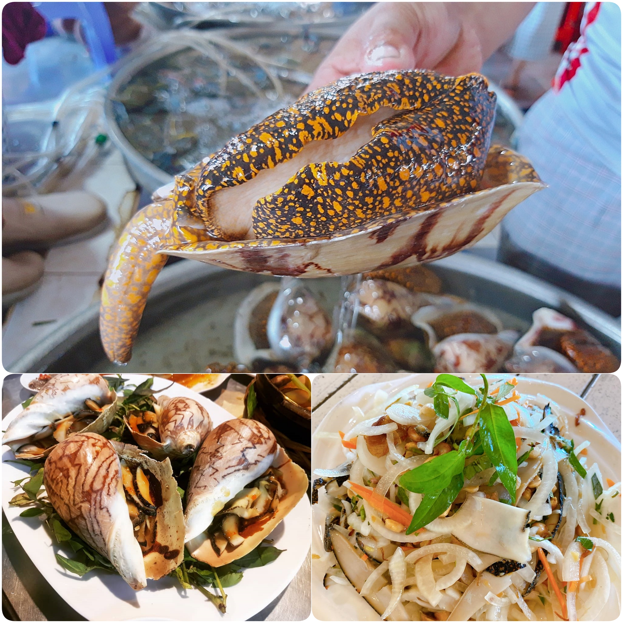 Vùng biển này toàn món ngon 'vương giả', nghe tên là đủ hiểu 'nhiều tiền chưa chắc đã được ăn'- Ảnh 9.