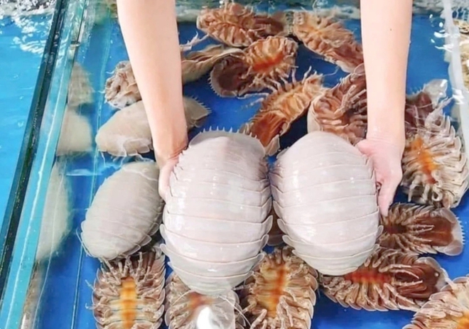 Loại hải sản 