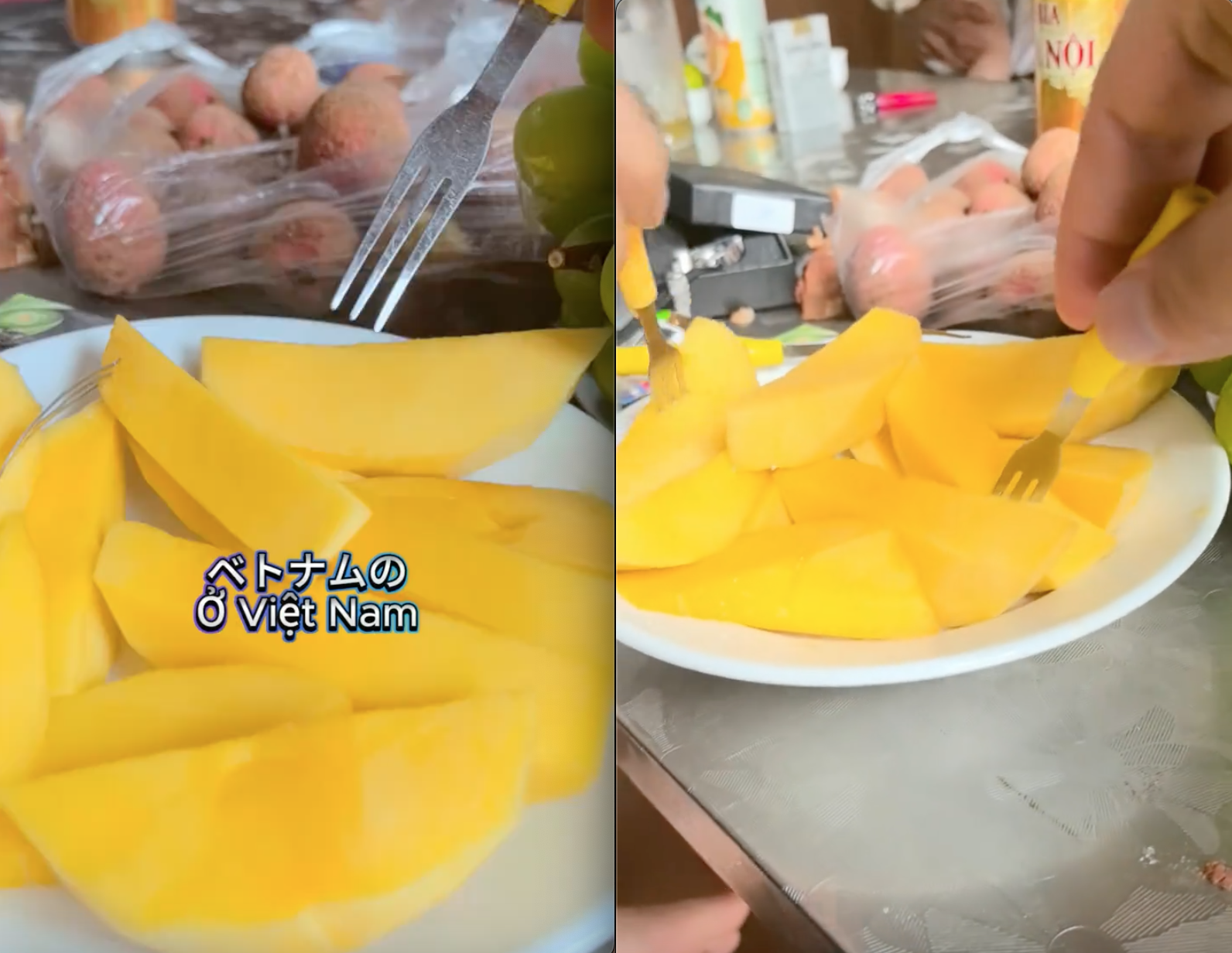 Khách Nhật "xỉu luôn" sau khi ăn 1 loại trái cây màu vàng của Việt Nam, khẳng định hàng "chuẩn xịn"- Ảnh 2.