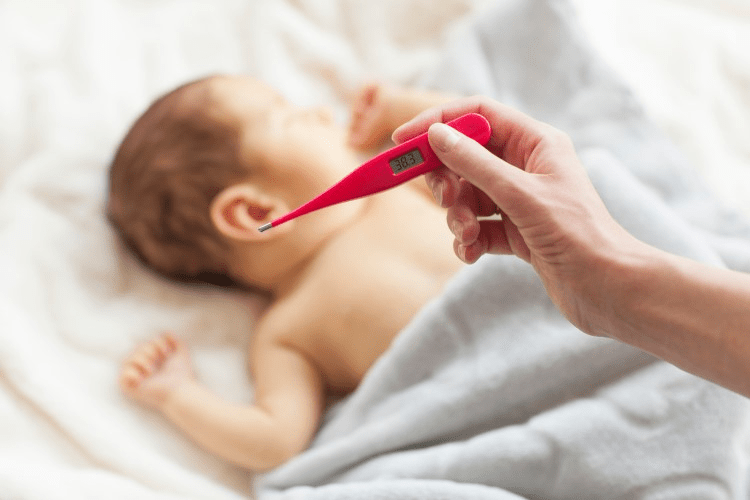 Nhiều trẻ mắc vi khuẩn nguy hiểm gây viêm phổi, viêm gan, xuất huyết giảm tiểu cầu- Ảnh 1.