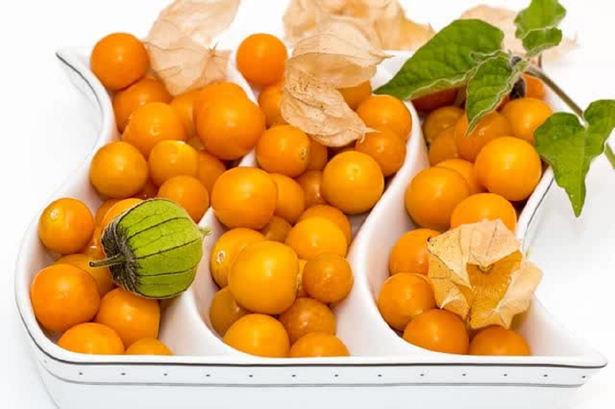 Loại quả dại ở Việt Nam ít ai "ngó", qua nơi này "cơn sốt" 700.000 đồng/kg- Ảnh 4.
