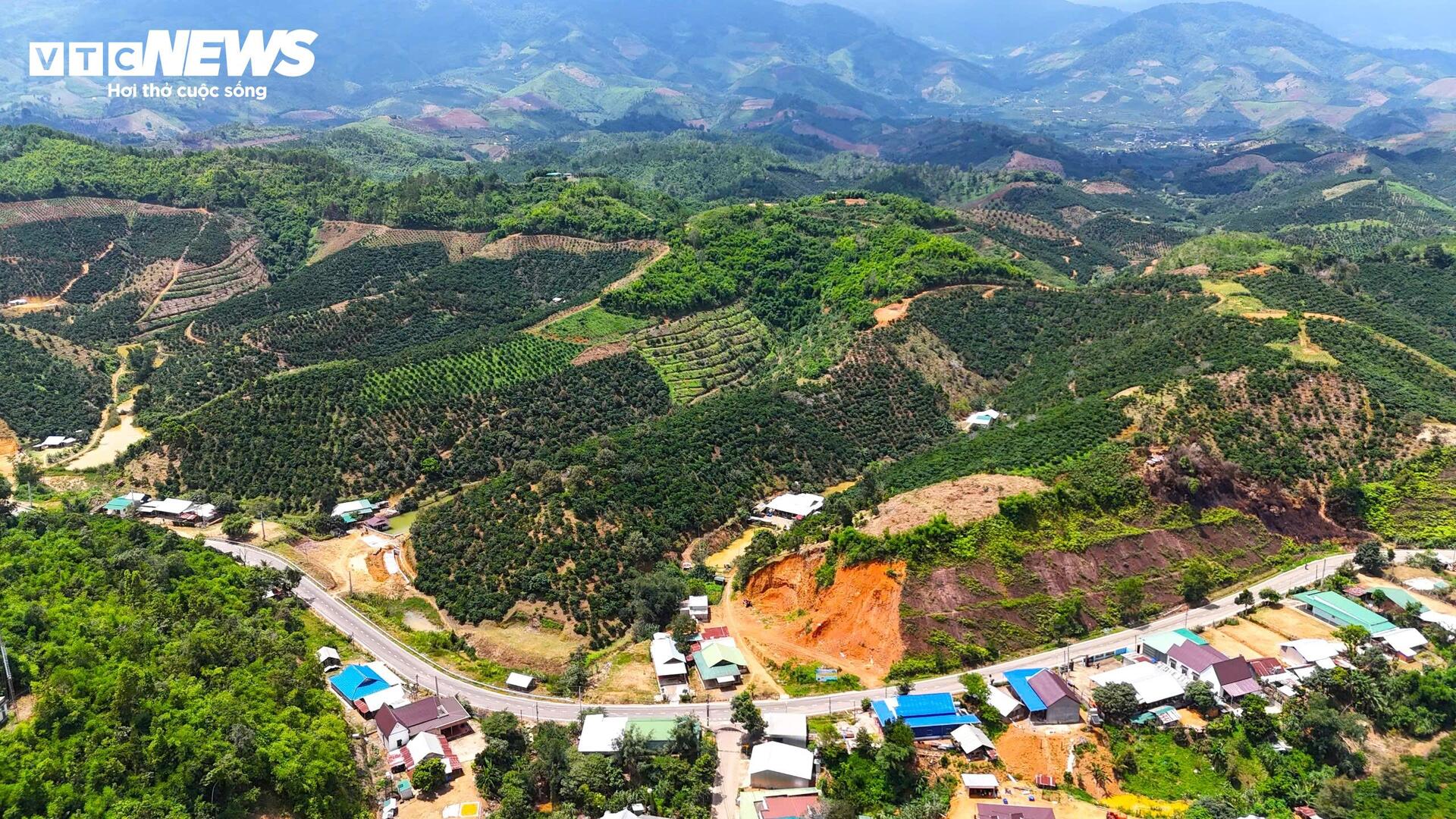 Độc đáo ngôi làng giữa núi rừng ở Lâm Đồng nói không với bia rượu- Ảnh 8.