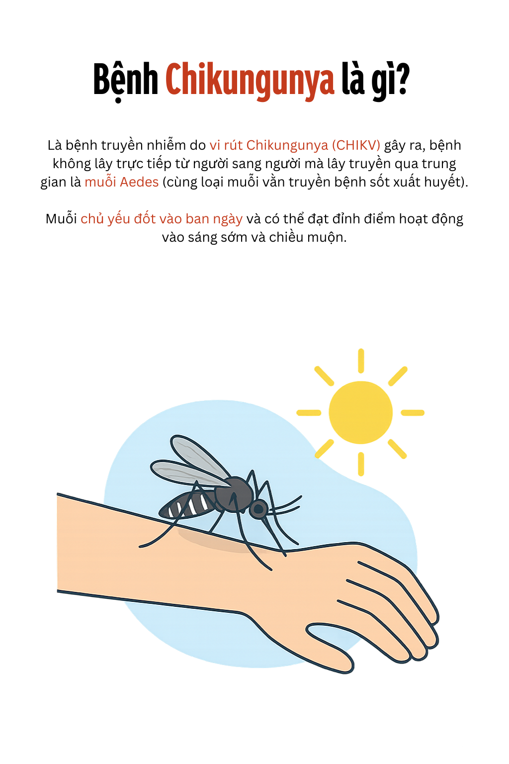 Toàn cảnh dịch sốt Chikungunya lan nhanh trên toàn thế giới: 240.000 ca mắc, 90 người tử vong; WHO ban hành cảnh báo- Ảnh 2.