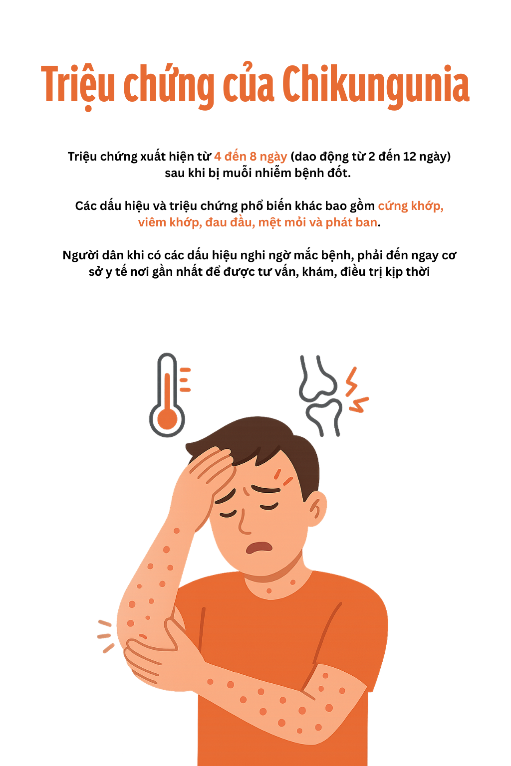 Toàn cảnh dịch sốt Chikungunya lan nhanh trên toàn thế giới: 240.000 ca mắc, 90 người tử vong; WHO ban hành cảnh báo- Ảnh 6.
