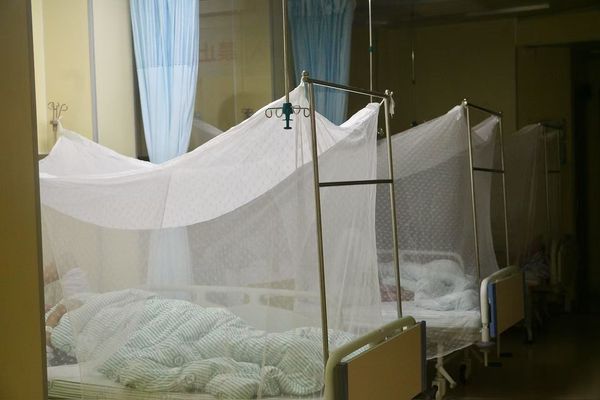 1.387 ca mắc mới virus Chikungunya được phát hiện tại Quảng Đông (Trung Quốc), chuyên gia cảnh báo nên cảnh giác- Ảnh 1.