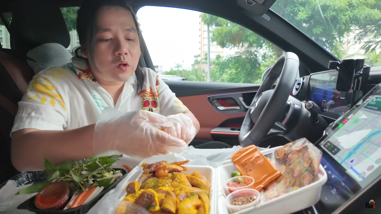 Khoa Pug về Việt Nam đi tập tễnh sau 2 lần kéo chân, gây tranh cãi từ ngoại hình đến thói quen ăn uống- Ảnh 5.