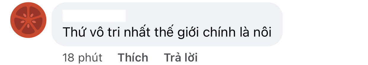Dân mạng chê vợ chồng Ngô Thanh Vân "tấm chiếu mới bỉm sữa", chi 100 triệu đồ cho con nhưng 70% vô dụng, chật nhà- Ảnh 8.