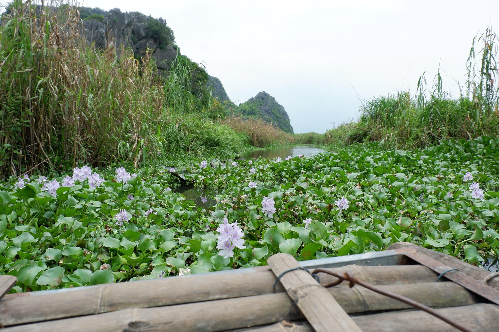 Cộng đồng chung tay làm du lịch bền vững để bảo tồn loài voọc ở Vân Long- Ảnh 12.