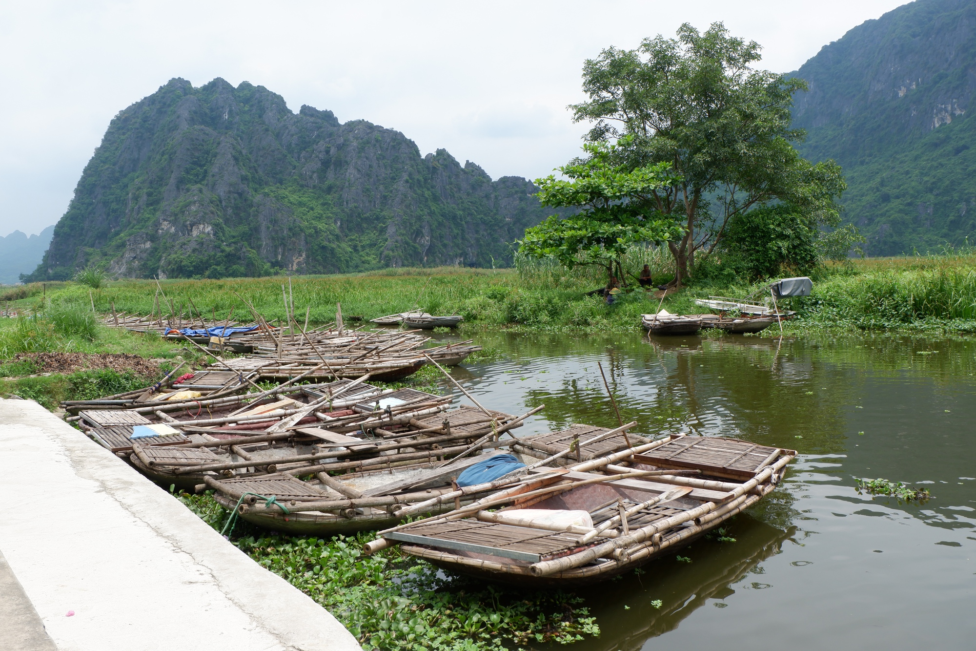 Cộng đồng chung tay làm du lịch bền vững để bảo tồn loài voọc ở Vân Long- Ảnh 2.