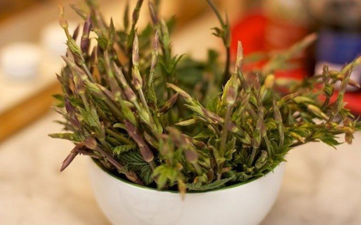 Loại rau dại từng không ai "ngó" đến, nay thành đặc sản 39 triệu đồng/kg- Ảnh 1.